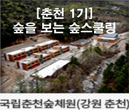 [춘천숲체원, 1기] 특수교사를 위한 산림교육 체험-숲을 보는 숲스쿨링 썸네일 이미지