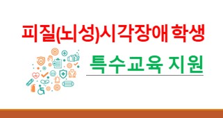2025년 피질(뇌성)시각장애 학생 특수교육 지원 역량 강화 썸네일 이미지